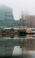 A Foggy January Walk in Baltimore, 4 Themes