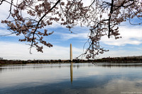 Postcard view of the Washington Monument