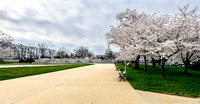 Lower Senate Park