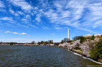Tidal Basin panorama - right (from the east) ...